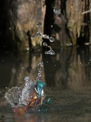 浮上 189-1（父親）