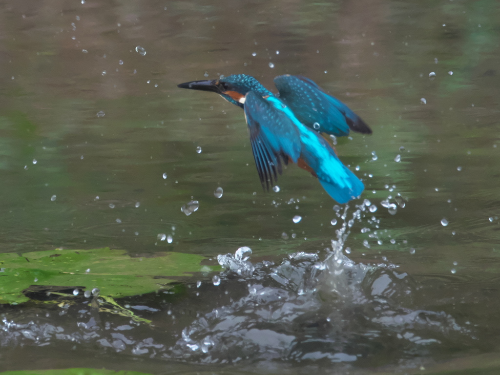 浮上 108（父親 霧雨）