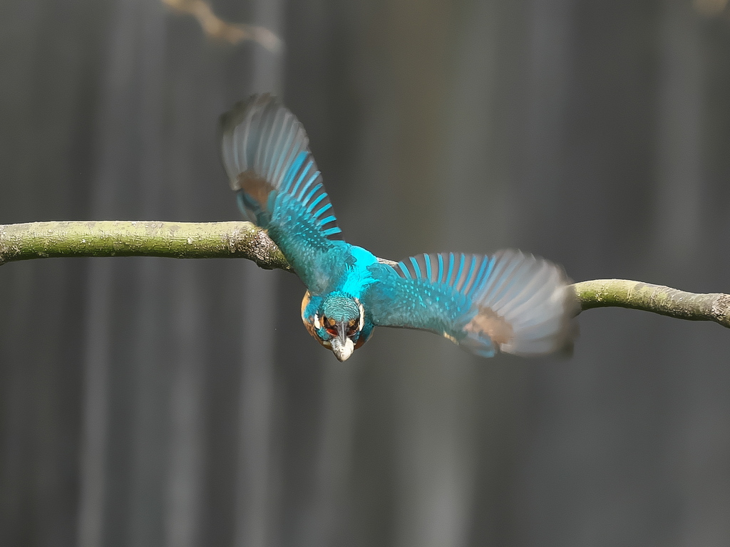 お持ち帰り 23-2