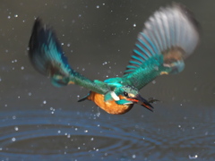 浮上 340-2（嫁候補）