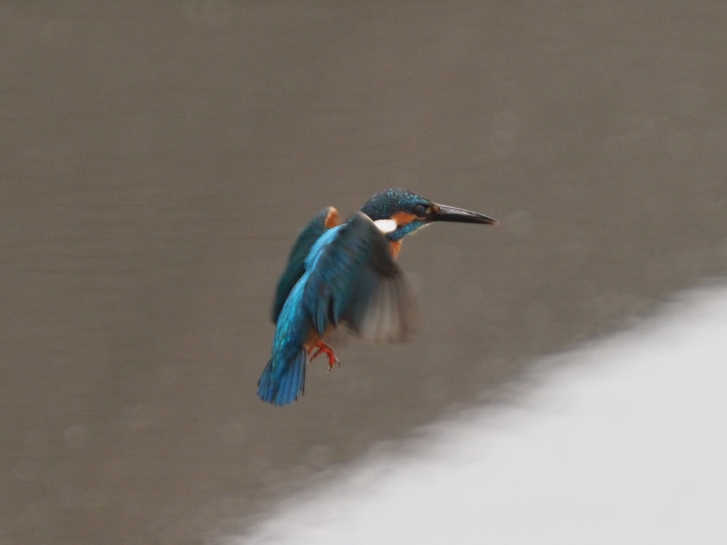 華麗なるターン 1