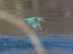 浮上 370（父親）