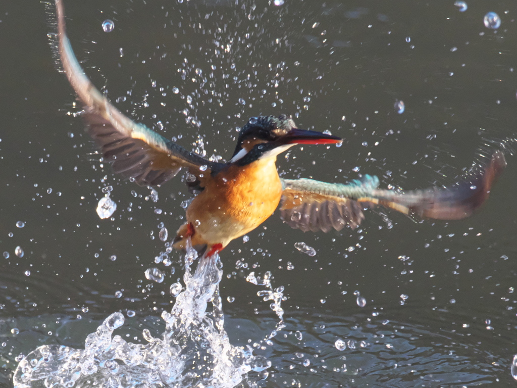 浮上 333（嫁候補）