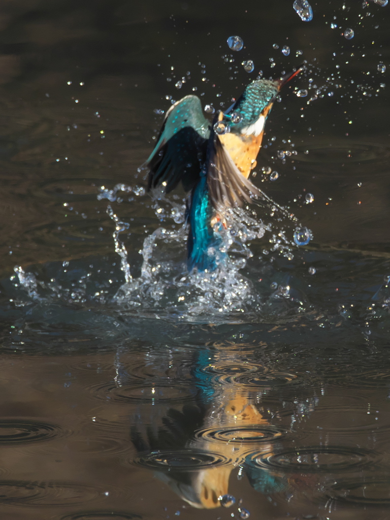 浮上 317-1（嫁候補）