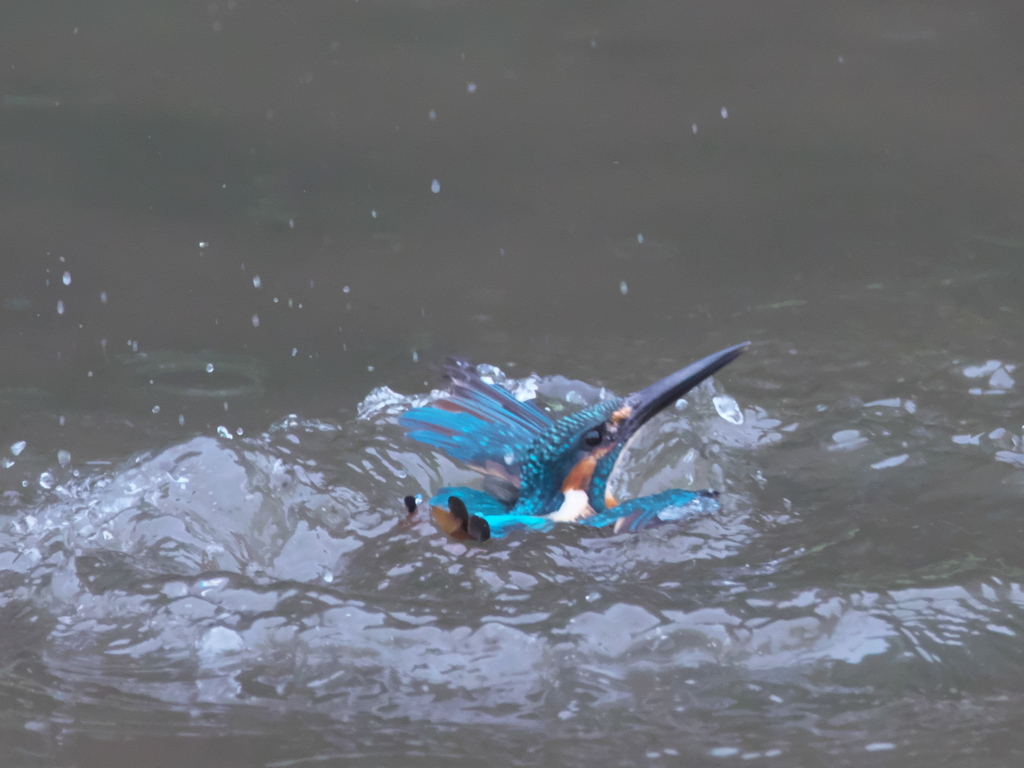 浮上 77-2（父親）