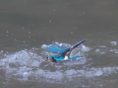 浮上 77-2（父親）