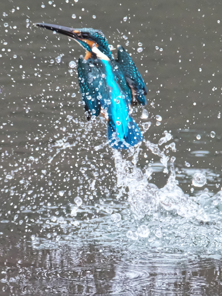 浮上 326（父親）