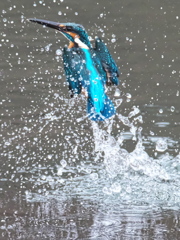 浮上 326（父親）