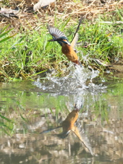 浮上 179（父親）