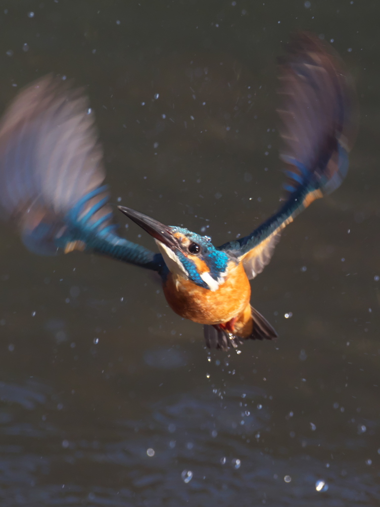 浮上 309（父親）