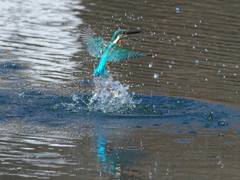 浮上 420-1（父親）