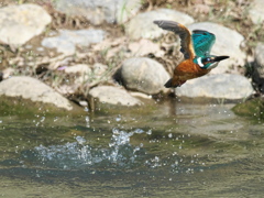 浮上 474-2（父親）