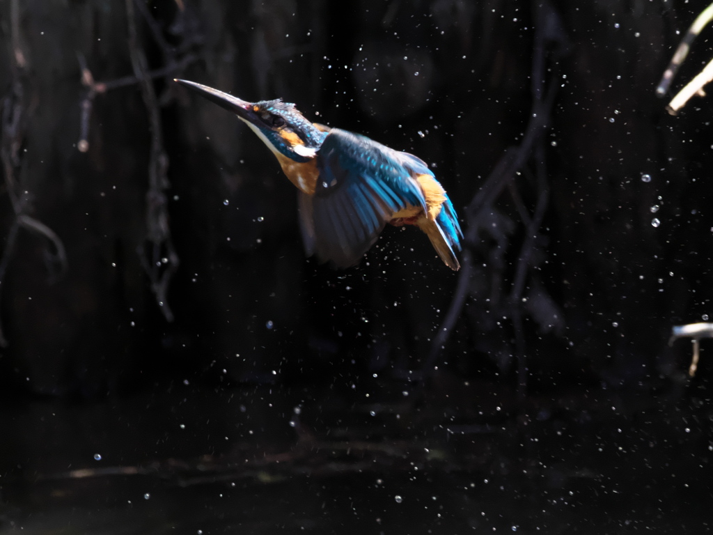 浮上 452-2（父親）