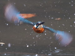 浮上 324-2（父親）