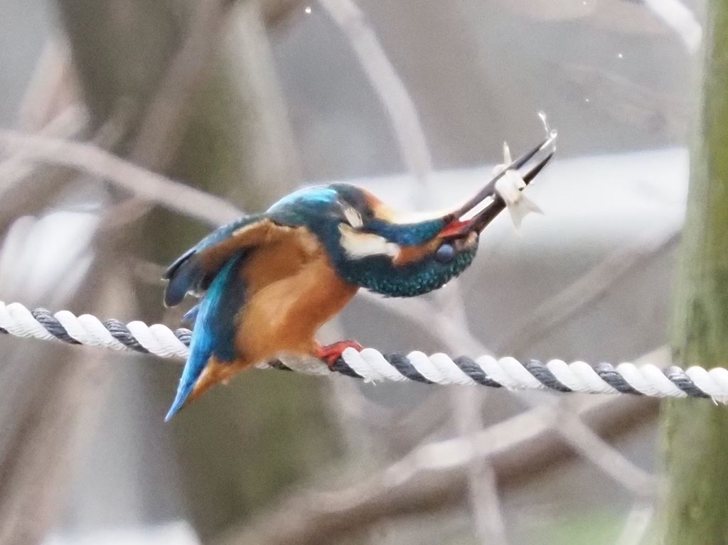 そんなにひねって首痛くならない？