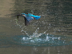 浮上 421-2（父親）