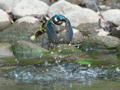 浮上 464-2（父親）