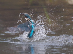 浮上 163-1（父親）
