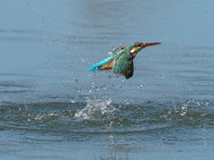 浮上 386-2（嫁候補）