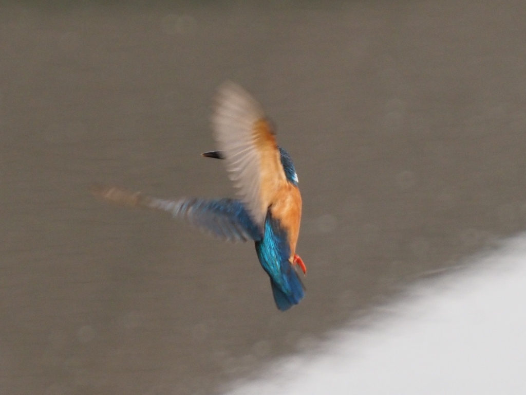 華麗なるターン 2