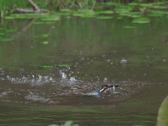 浮上 32-2（父親 お魚獲れたよ）