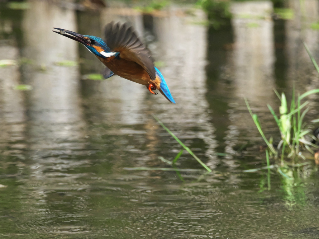 浮上 457（父親）