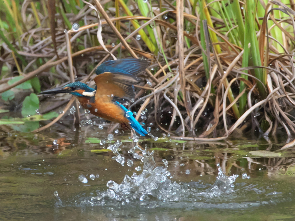 浮上 149-1（父親）