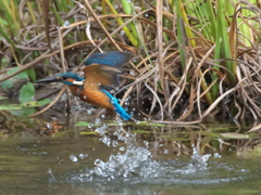 浮上 149-1（父親）
