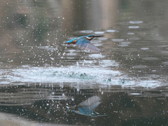 浮上 401-2（父親）