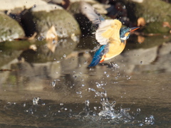 浮上 298（嫁候補）