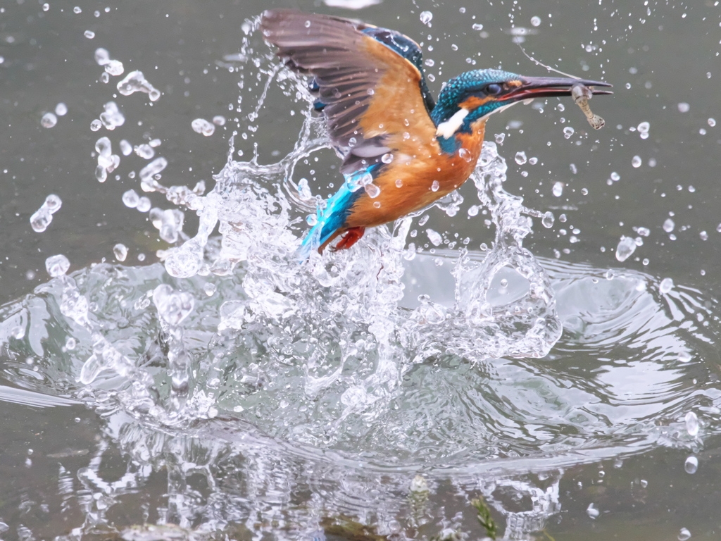 浮上 399-1（父親）