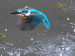 浮上 246-2（父親）