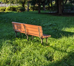 公園の朝