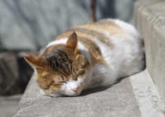 お母さん