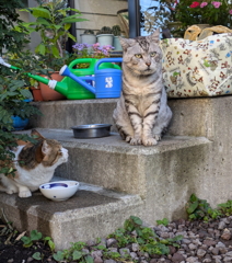 やまちゃんとお母さん