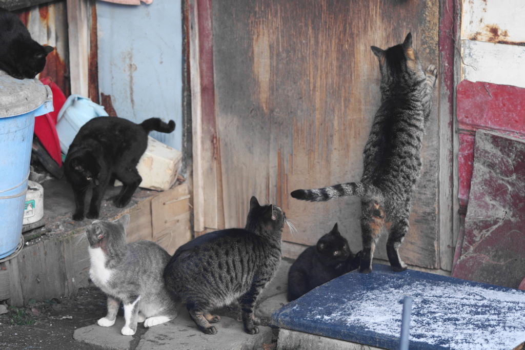 もうすぐ朝ご飯