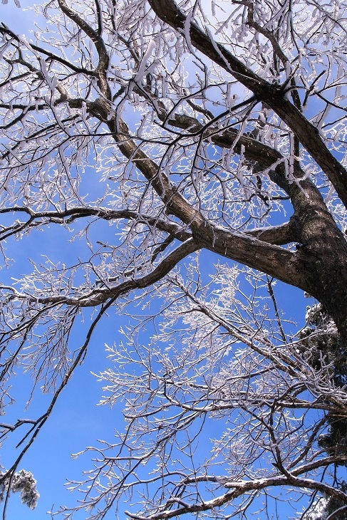 雪景色2