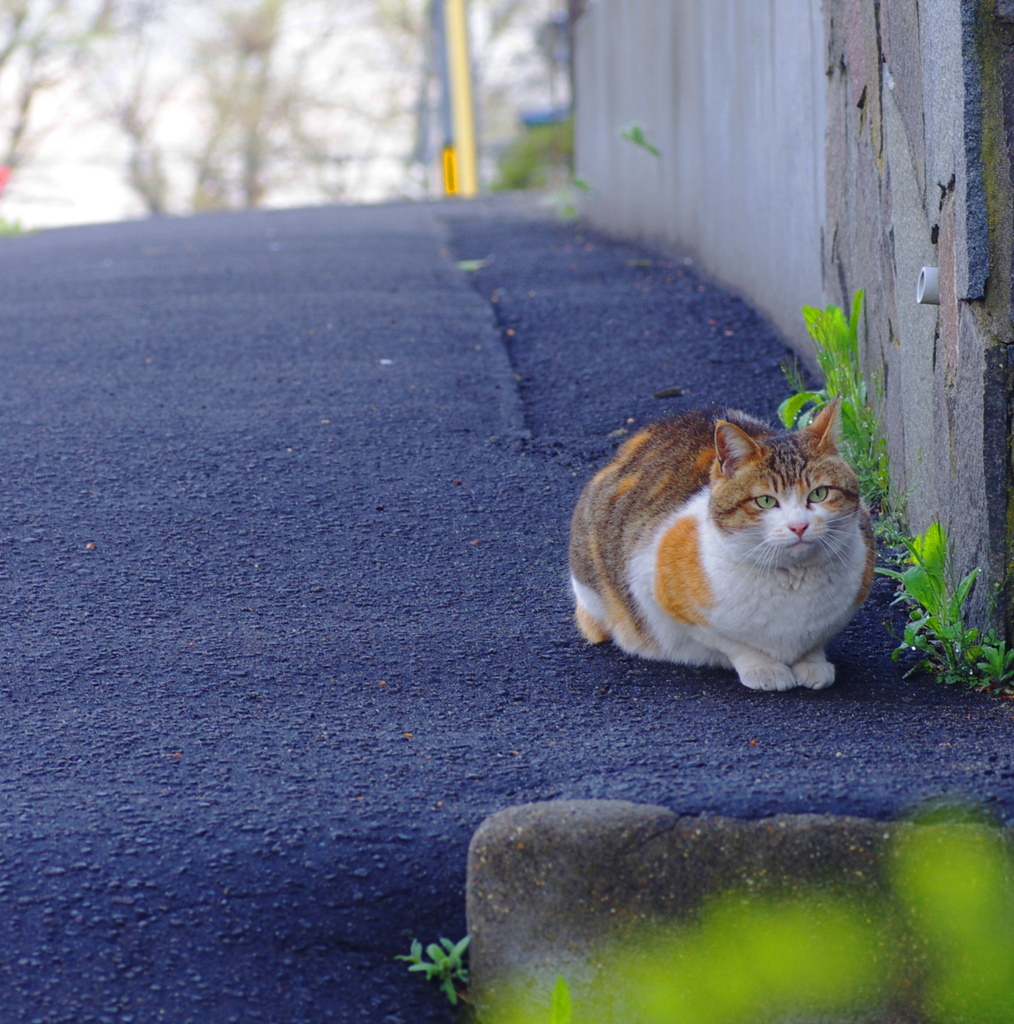 お母さん