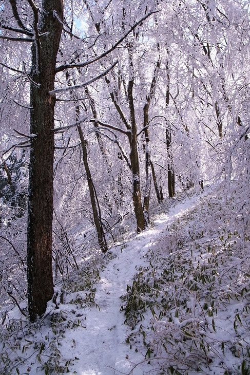雪景色