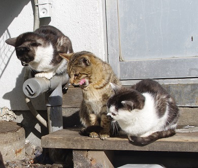 何処を見ている