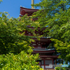 本土寺 五重塔