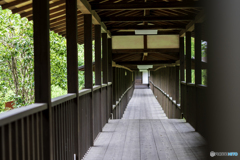 本土寺　廊下