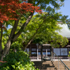本土寺
