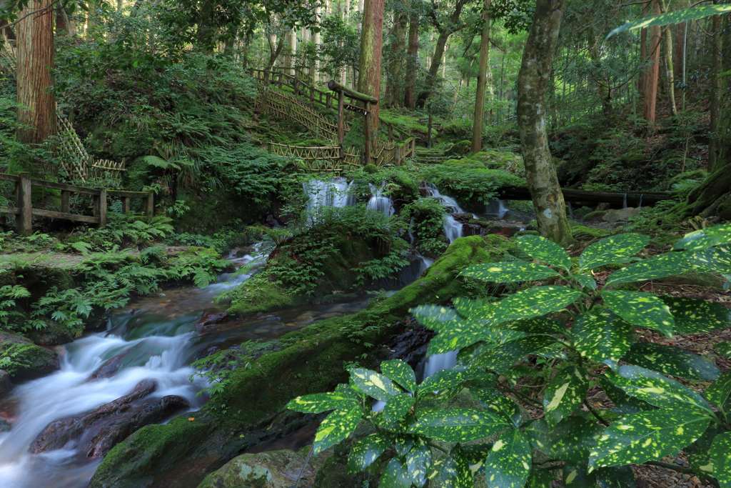 瓜割の滝