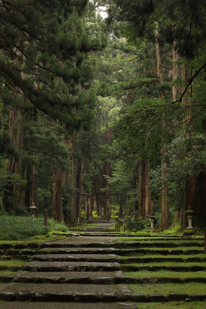 神様の森