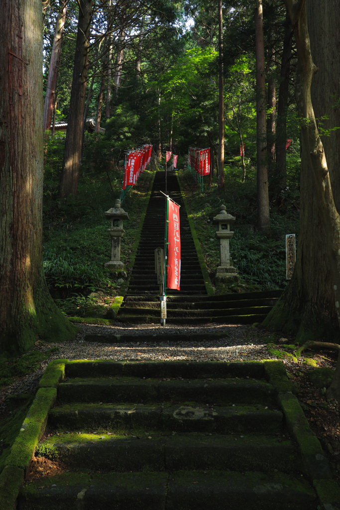 風来坊