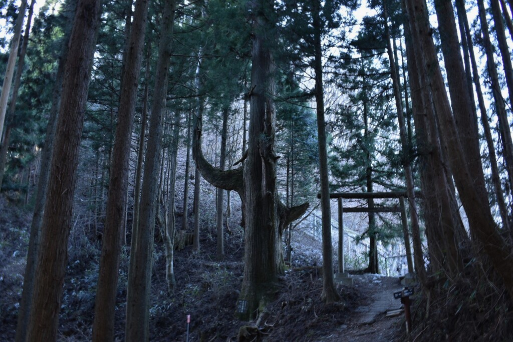 御岳山 天狗なんとか