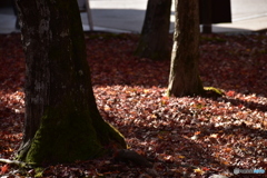東福寺2