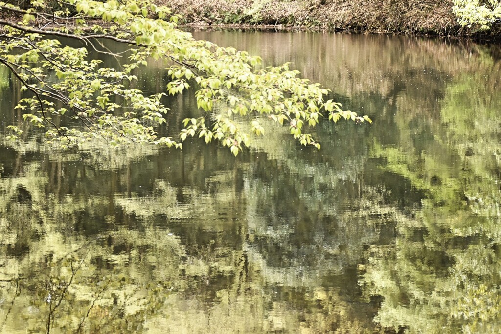 長池