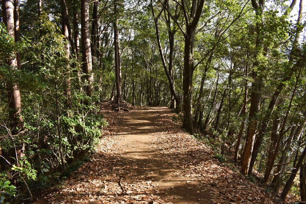 山道2